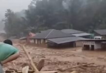 Tuduhan Menteri Zulhas Halu, terkait Perusahaan yang melakukan Pembalakan yang Mengakibatkan Banjir Bandang