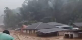 Tuduhan Menteri Zulhas Halu, terkait Perusahaan yang melakukan Pembalakan yang Mengakibatkan Banjir Bandang